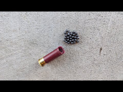 Видео: Проблема с картечью №4 для самообороны