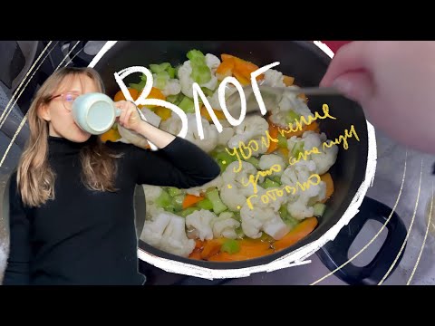 Видео: Влог. Я уволилась с работы, что дальше?