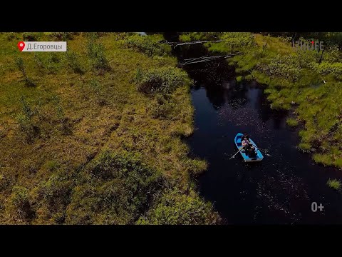 Видео: Путешествуем по Удмуртии за 1000 рублей: Селтинский район