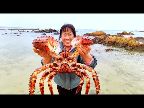 Видео: В море появился огромный «паук», весом 10 килограммов. вкусные ножки