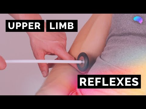 Видео: Рефлексы верхних конечностей | Клип OSCE | UKMLA | CPSA | PLAB 2