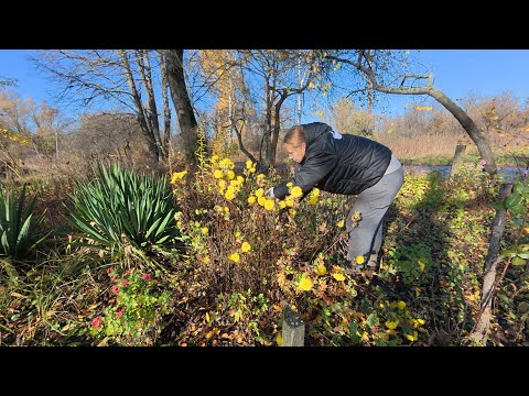 Видео: Дощ, город і врожай 🌧️ Що ми сьогодні зробили в селі?