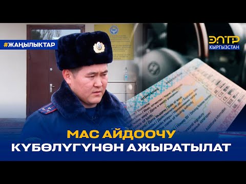 Видео: МАС АЙДООЧУ КҮБӨЛҮГҮНӨН АЖЫРАТЫЛАТ