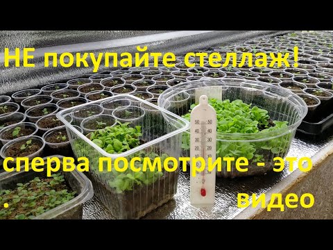 Видео: Стеллаж для рассады. Совсем несложно и НЕдорого