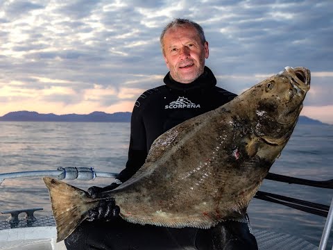 Видео: РЫБАЛКА И ПОДВОДНАЯ ОХОТА В НОРВЕГИИ.Wild Fishing Norway