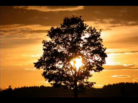 Видео: Руставели - Стали старше (feat. VA84, Санчес, Юлия Антонова)