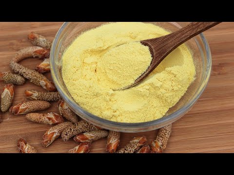 Видео: Пыльца сосны или сосновая пыльца. Сбор, время, хранение, употребление.