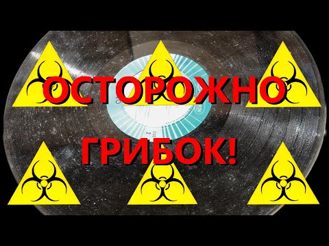 Видео: Пластинки с грибком - можно ли от него избавиться?