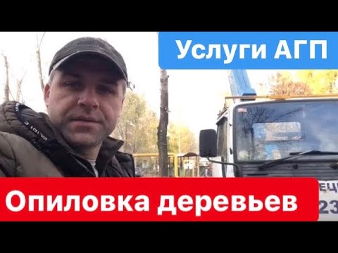 Видео: Спил деревьев. Опиловка - самая грязная работа для автовышки