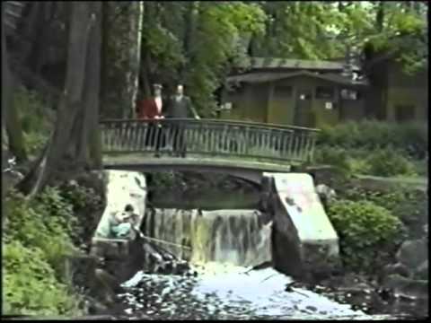 Видео: КЛИО. Парк Аркадия