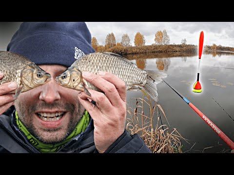 Видео: Здесь ещё КЛЮЕТ КАРАСЬ! Рыбалка на поплавок поздней ОСЕНЬЮ