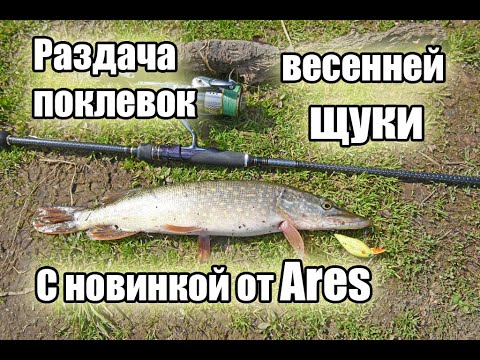 Видео: Весенняя раздача поклевок на пруду