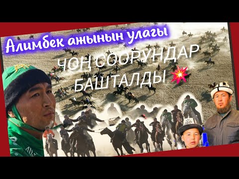 Видео: Лейлекте дүнгүрөгөн улак болду 💥 Алимбек ажынын улагы чоң соорундар башталды 💥💥💥