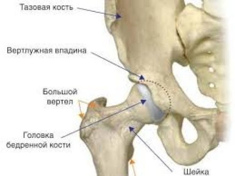 Видео: Лекция "ТБС" из цикла "мануал к телу человека".