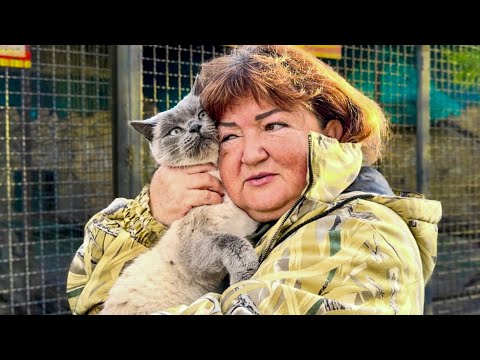 Видео: Басик тоже ВСТРЕЧАЕТ МАМУ, а мы решаем ЗАЙТИ В ГОСТИ К Люське! 