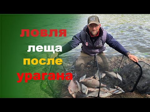 Видео: Ловля леща после урагана