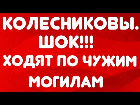 Видео: Колесниковы// Шок! Ходят по чужим могилам// Обзор видео//