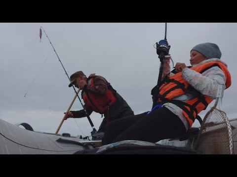 Видео: На рыбалку, на ТУНЦА. Эмоции зашкаливают..