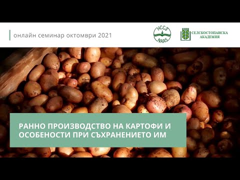 Видео: Ранно производство на картофи и особености при съхранението им