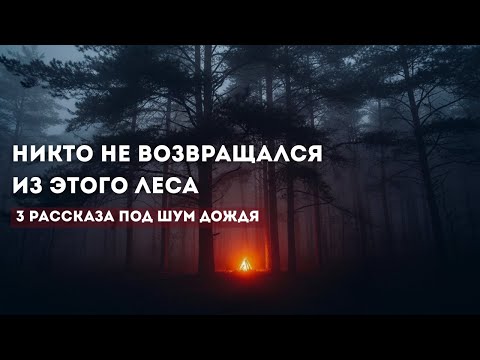 Видео: Лес, который зовёт: три реальные истории, от которых стынет кровь