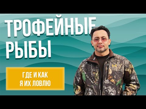 Видео: Гиганты воды: Трофейные сазаны, амуры и толстолобики-монстры!