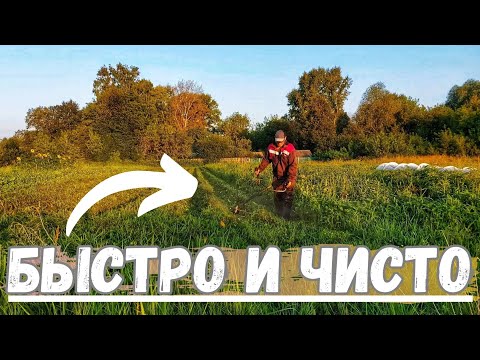 Видео: Как СКОСИТЬ КАРТОФЕЛЬНУЮ ботву ТРИММЕРОМ!? Быстро , Чисто И легко! Огород в ДЕРЕВНЕ 2023!