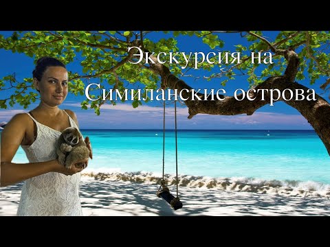 Видео: Симиланские острова открытие сезона 2024 - 2025/Не Езжай на Симиланы пока не посмотришь это Видео.