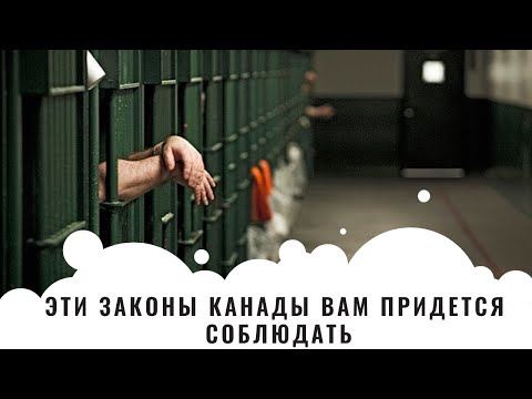 Видео: ЗА НАРУШЕНИЕ ЭТИХ ЗАКОНОВ ВАС ПОСАДЯТ В КАНАДЕ / ЭТИ ЗАКОНЫ КАНАДЫ ВАМ ПРИДЕТСЯ СОБЛЮДАТЬ