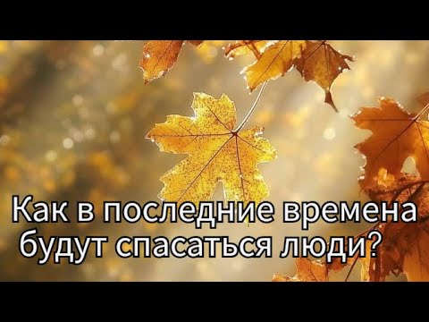 Видео: Как в последние времена будут спасаться люди?
