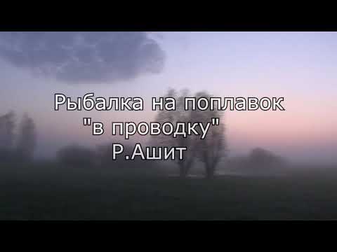 Видео: Рыбалка на поплавок "в проводку" на реке Ашит.