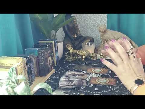 Видео: ЗАЩО МЪЛЧИ