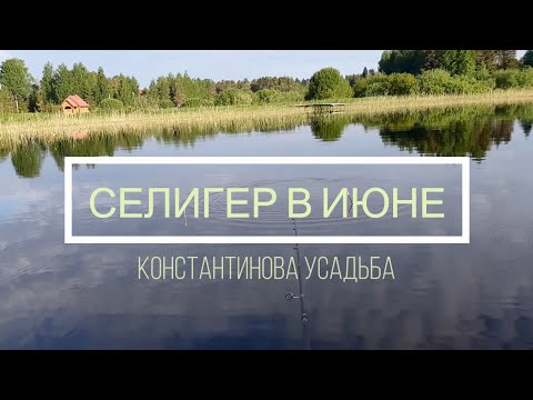 Видео: Отдых на Селигере в ИЮНЕ