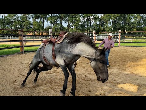 Видео: БЕЗОПАСНО ли на нем ездить?