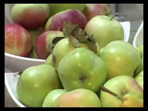 Видео: Как выбрать яблоню? Самые вкусные яблоки.