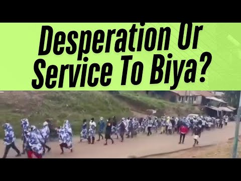 Видео: Вандас для Ндопа.