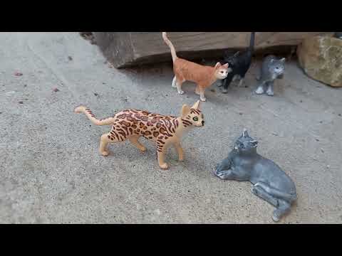 Видео: племя котов-воителей 1 сезон 3 серия