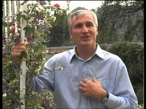 Видео: РУСЛАН БДАЙЦИЕВ "Дауыл У Ма Зарг"