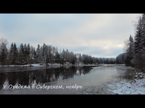 Видео: У Оредежа в Сиверском, ноябрь.