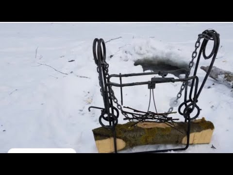 Видео: ОХОТА НА БОБРА,ПРОЛОВ, КАК ПОСТАВИТЬ КП-320 ПОД ЛЕД, МАЛЫШ НАЧАЛ ТРОПИТЬ КОЗ.
