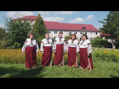 Видео: Пісня «Зацвів дитинства сад» у виконанні жіночого ансамблю «Турківчанка» Будинку Культури с  Турка