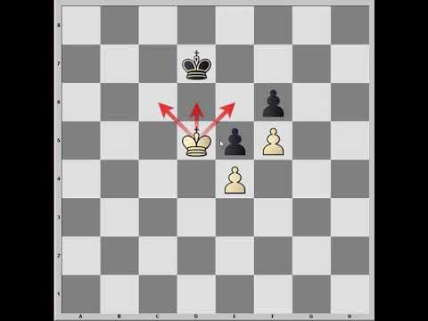 Видео: Основы шахматных окончаний. Пешечные окончания.