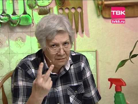 Видео: Советы тети Тани. Ромашка Перетрум.