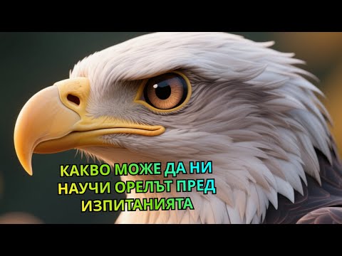 Видео: Орелът и силният вятър: Как трудността те издига - Мъдростта на животните