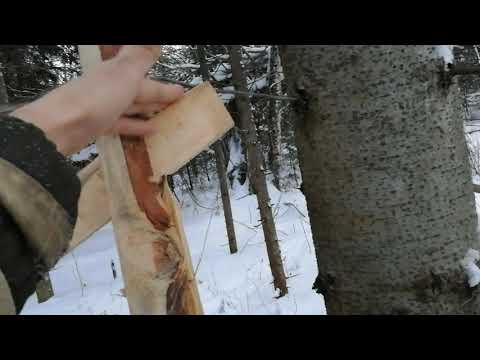 Видео: проскок на соболя