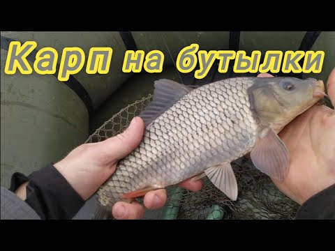 Видео: Ловля карпа на бутылки. Чем кормить карпа и где искать? Bottle fishing for carp.Grinded boiled corn!