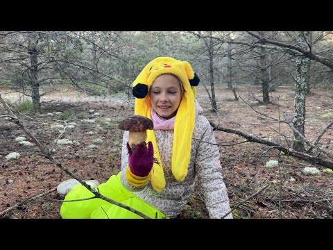 Видео: Боровики МОНСТРЫ в мороз -3🥶❄️! Грибная поздняя осень в Беларуси!🇧🇾