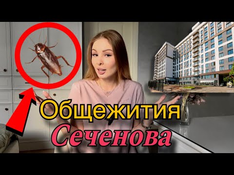 Видео: Общежитие в Сеченова |Стоимость|Условия и Адреса