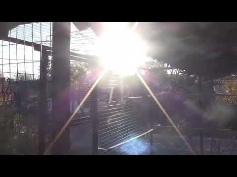 Видео: Наступний день