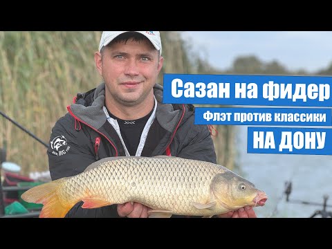 Видео: Сазан на фидер. Осенняя ловля на Дону. Рыбалка в ураган. Флэт против классики