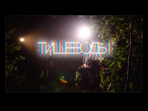 Видео: тише воды - черная земля  (live from the woods)